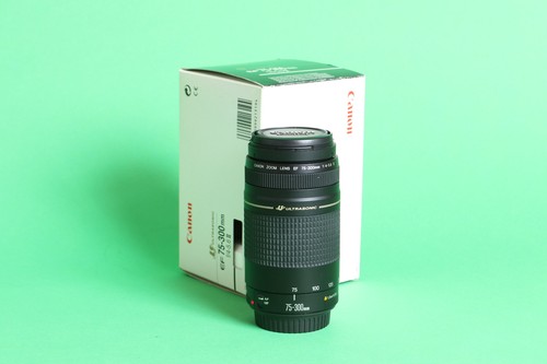 Canon 300 4 5 - f/4-5.6, ii