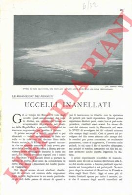 Canestrini alessandro - alessandro,