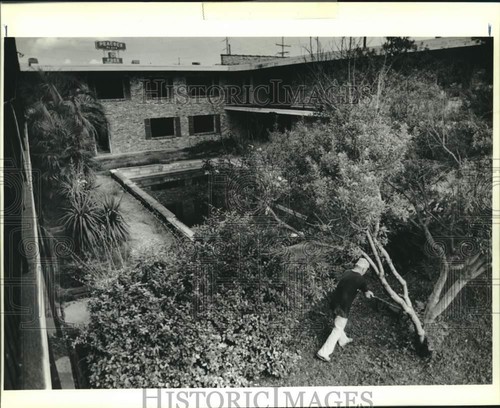 1989 stampa foto park - stampa,