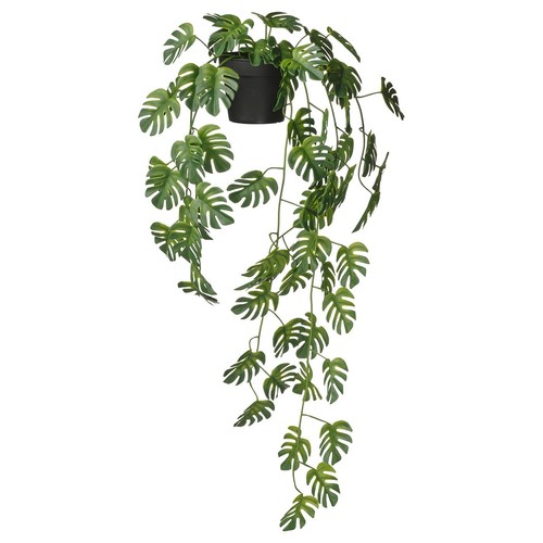 Pianta monstera artificiale - pianta,