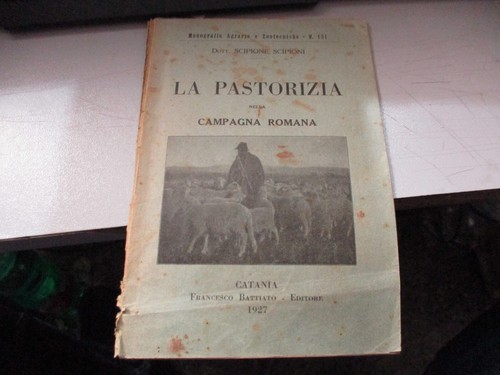 Pastorizia nella campagna - pastorizia,