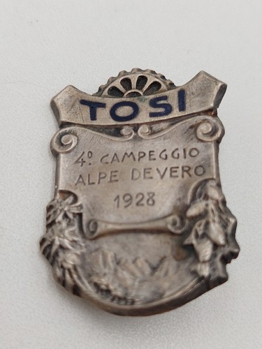 Medaglia spilla tosi 4 - spilla,