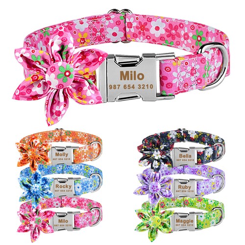 Collare cane personalizzato - collare,