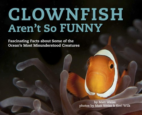 Clownfish aren funny - clownfish, so