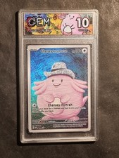 Pokemon chansey van - pokemon,