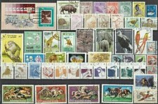 Animali lotto con blocco a