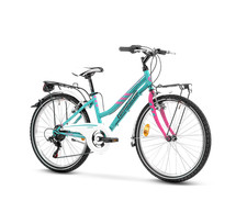 Bici Bicicletta Mountabike da