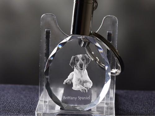 Brittany spaniel dog crystal - dog,