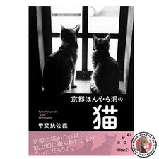 Gatti della grotta di Kyoto