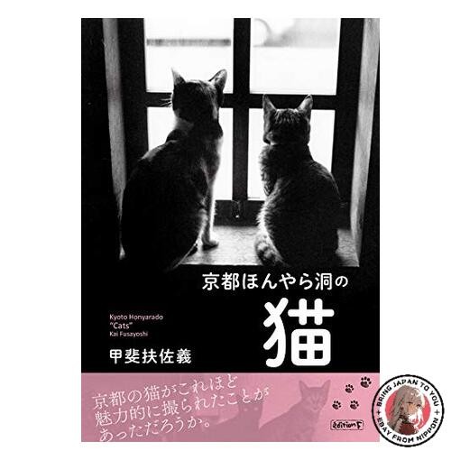 Gatti della grotta kyoto - della, di
