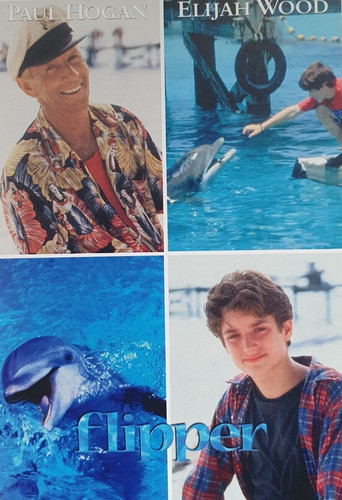 Flipper 1996 - 1996, ‧