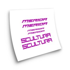 STAR SAM® ADESIVI SCULTURE MERIDA ADESIVI ADESIVI TELAIO DECALCOMANIE BICI