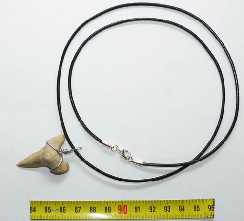 Collana pendente dente - pendente, di