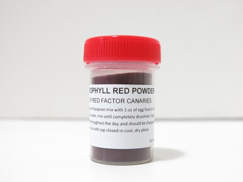 Carofilla colore rosso - colore,