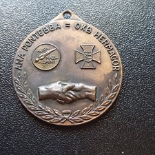 Medaglia Italiana Militare