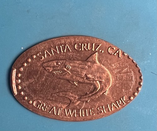 Penny allungato santa - penny, allungato🦈