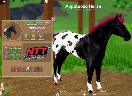 Wild horse islands - horse, naturally