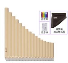 Flauto Pan Principianti 16Pipe