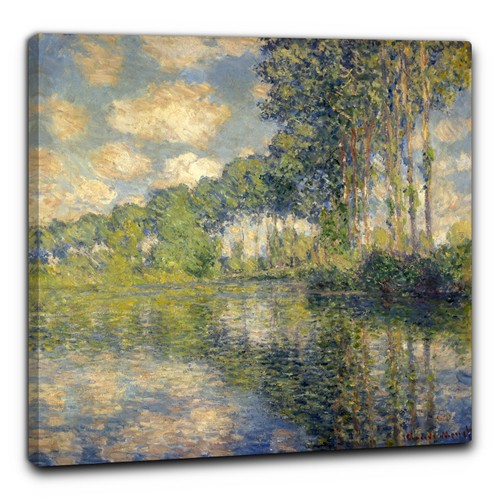 Niik quadro pioppi sul fiume - quadro,