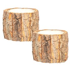  2 Pcs Vasetti Per Fiori Fioriere Da Interno Vaso Di Desktop Piante