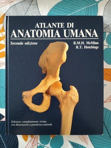 Atlante anatomia umana - di,