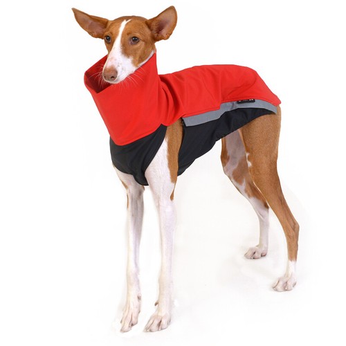 Giacca softshell whippet - whippet,