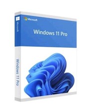Microsoft Windows 11 Pro 1