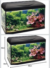 Acquario completo Amtra Basic