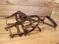 Strumento dentale veterinario