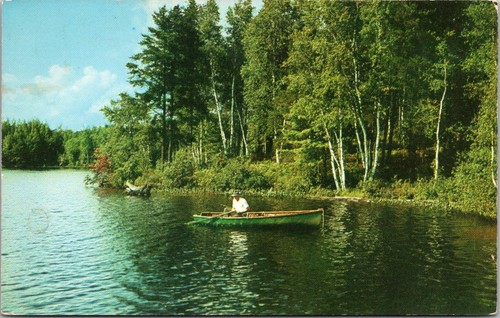 Cartolina saluti hudson - cartolina, n