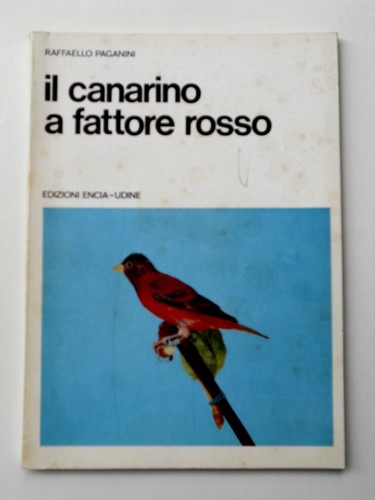 Canarino fattore - il,