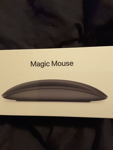 Apple magic mouse grigio - magic,