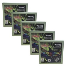 Alice Basso Elettrico Corde