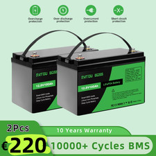 2X Batteria Litio 12V 100Ah