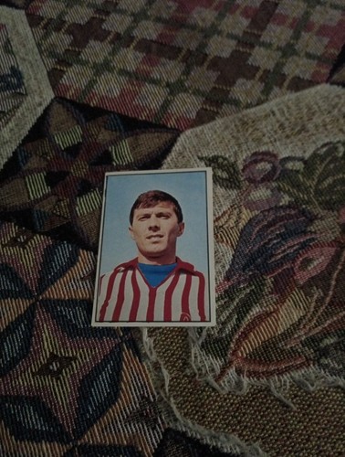 Figurina panini calciatori - figurina,