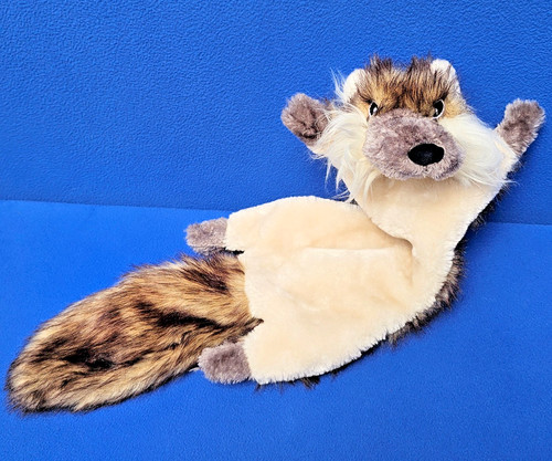 Cinter furetto martora iltis - cinter,