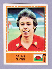 BRYAN FLYNN Figurine Panini