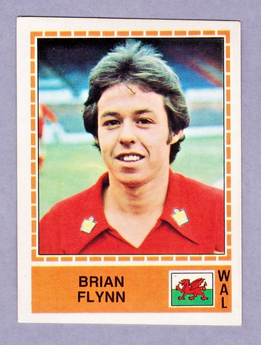 Bryan flynn figurine panini - flynn,
