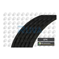 Cinghia di trasmissione a