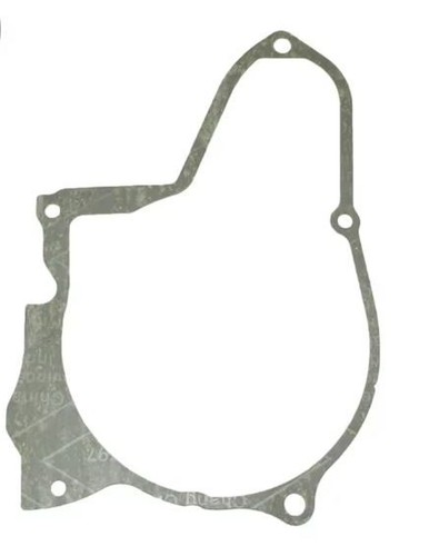 Guarnizione coperchio statore