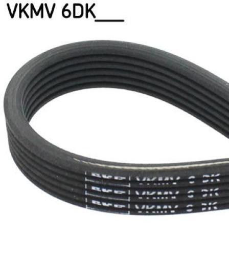 Skf cinghia polo - cinghia,