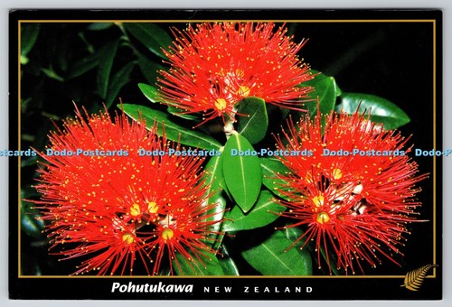 D327174 pohutukawa - d327174,