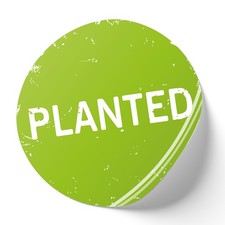 Adesivo "Planted" Verde 20 cm