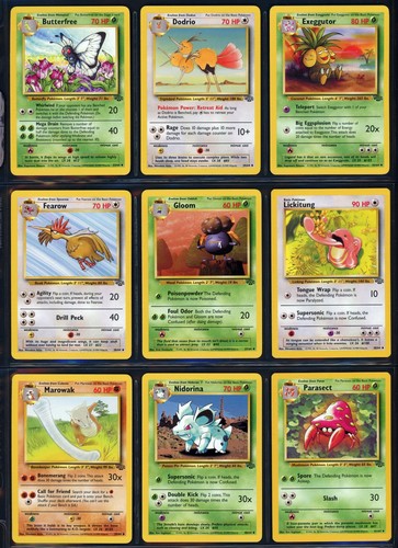 Set completo jungle - set,