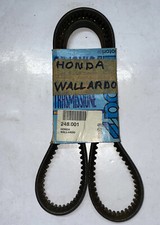 248001 Cinghia Polini Honda Wallaroo 50 - Peugeot Fox 50