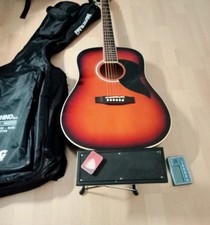 Chitarra classica Eko Ranger 6