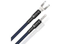 Wireworld Oasis 10 ponti