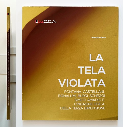 Tela violata lucca 2016 - lucca,