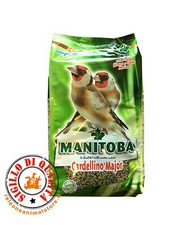 Manitoba Cardellino Major 2,5 kg Mangime completo per Cardellini