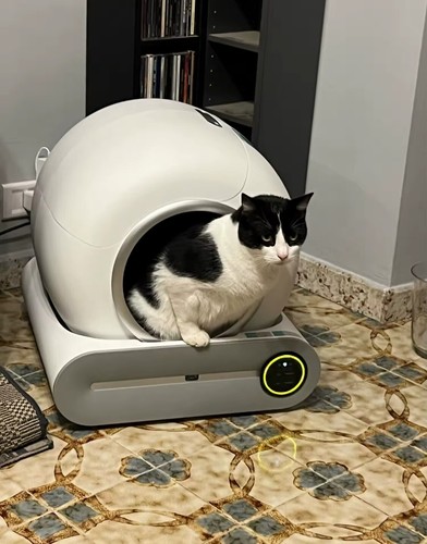 Lettiera automatica per gatti - automatica,